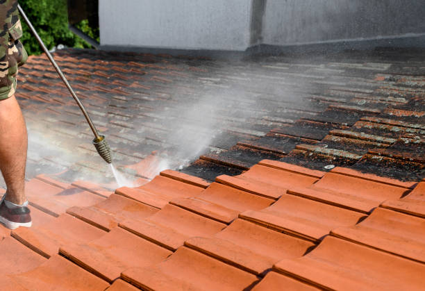 Best Roof Pressure Washing  in Bloomington, MN